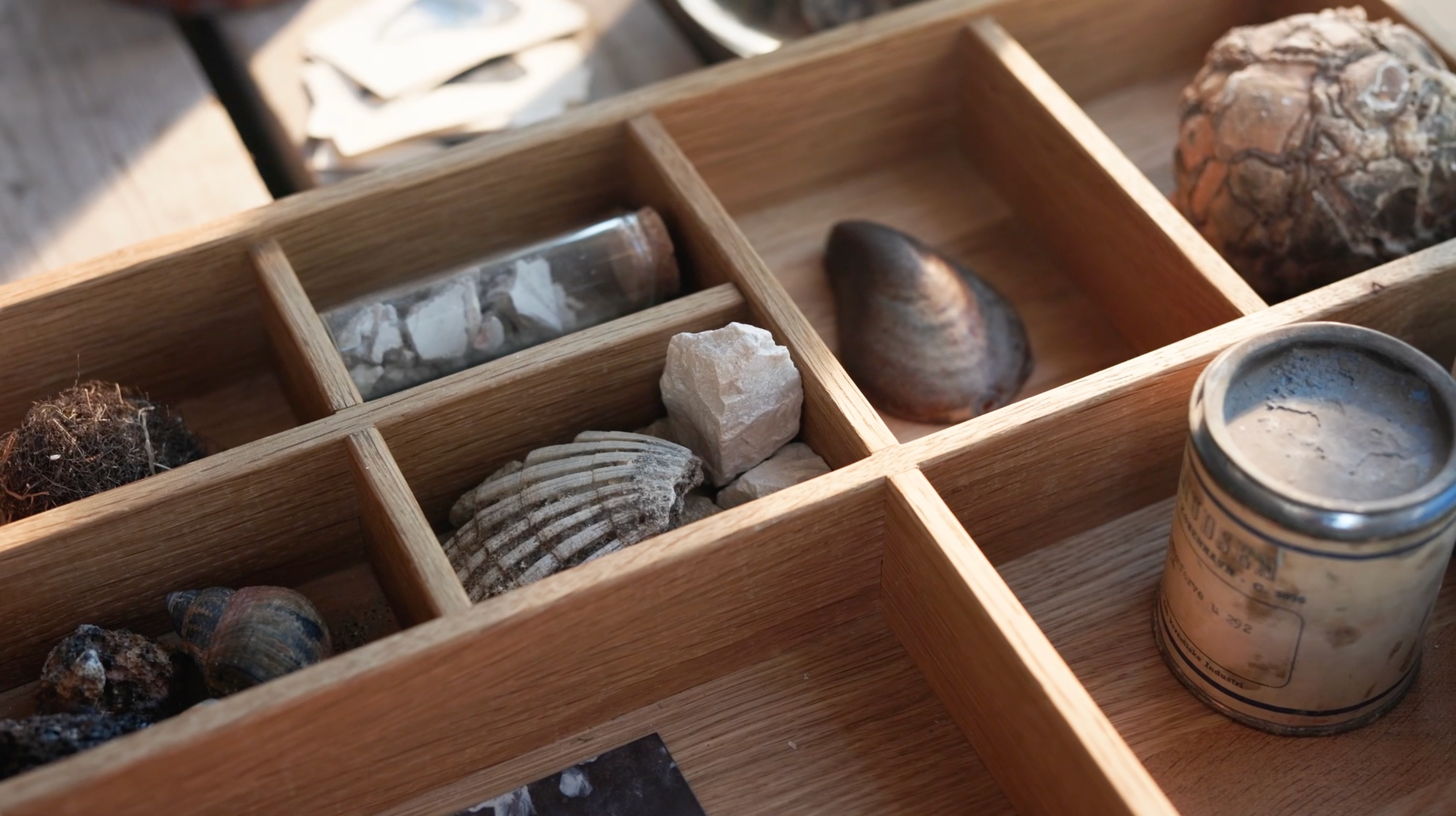 Materials from nature in a wooden tray