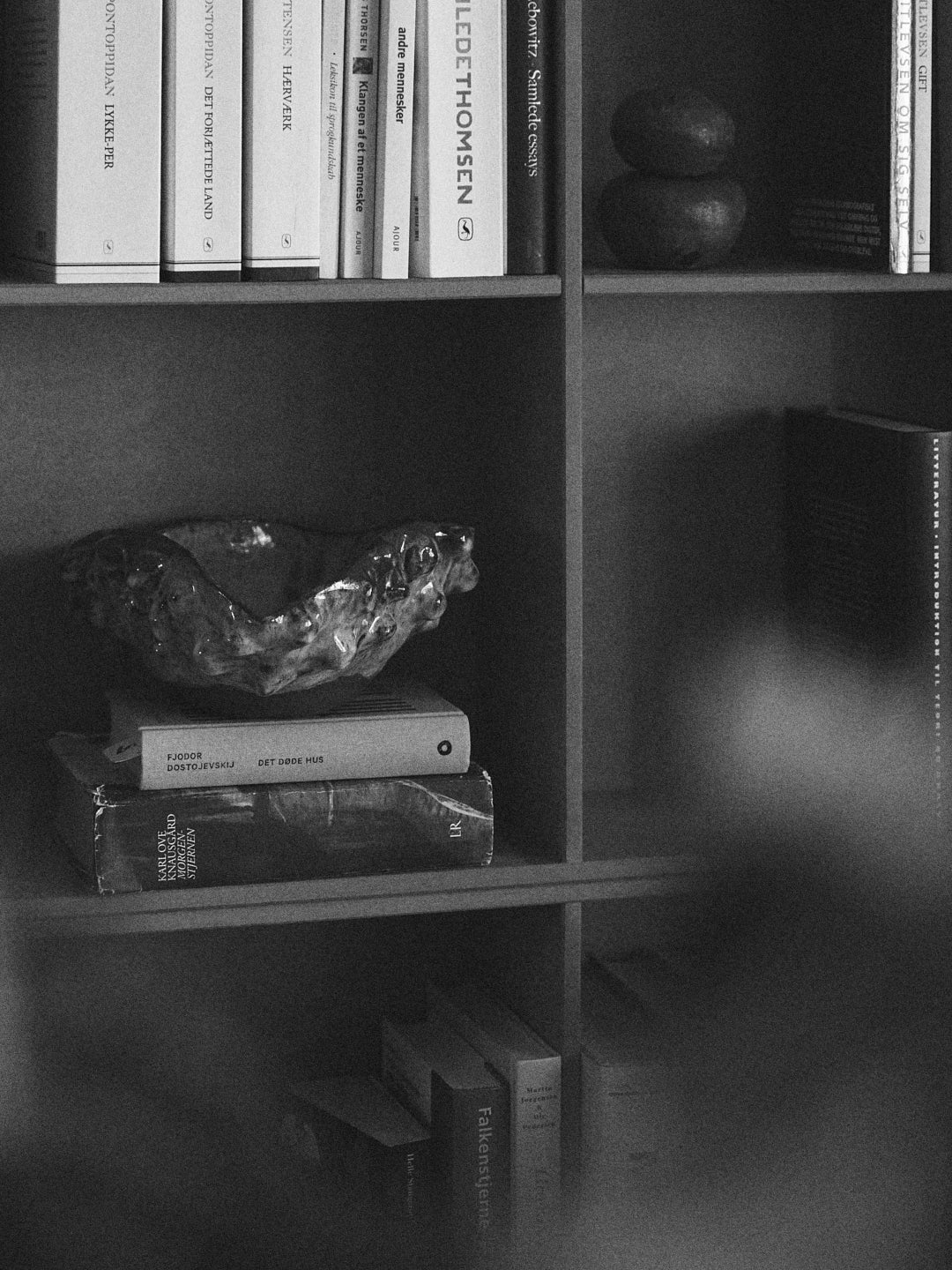 Bookshelf with books and decorative objects in a dimly lit room